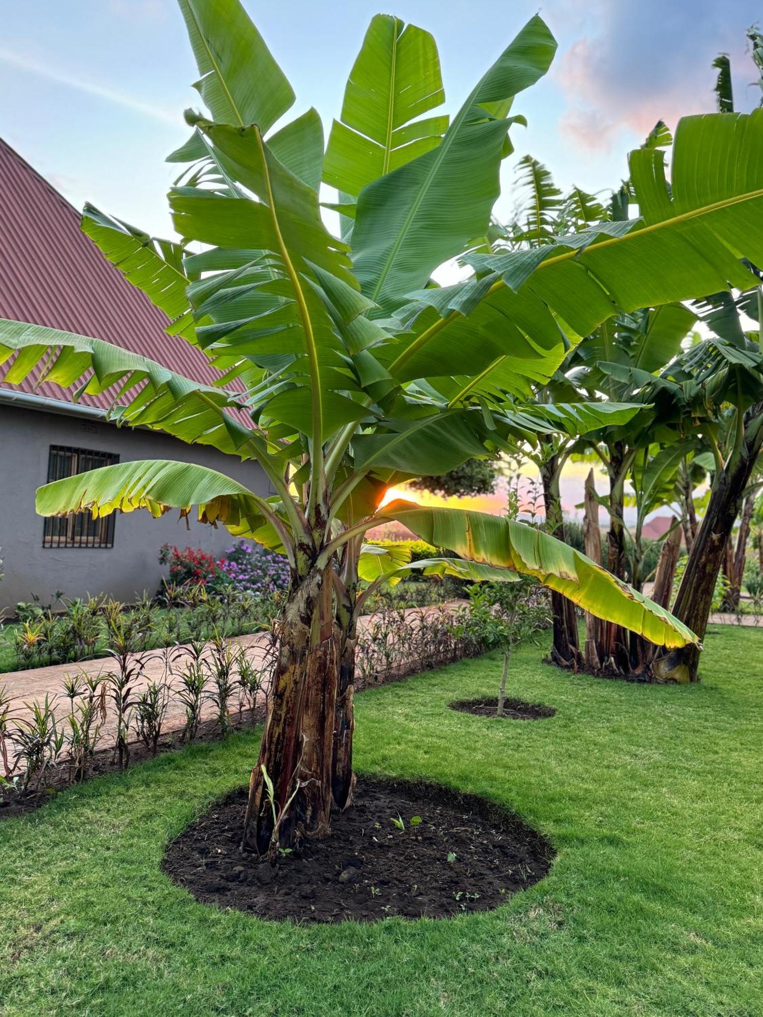 Heart And Soul Lodge Karatu Exterior foto